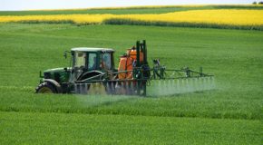 Pesticides