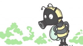 Pesticides tueurs d’abeilles